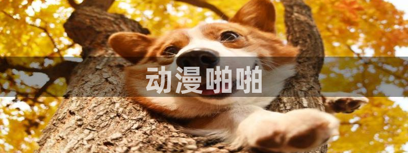 backstage韩漫免费观看