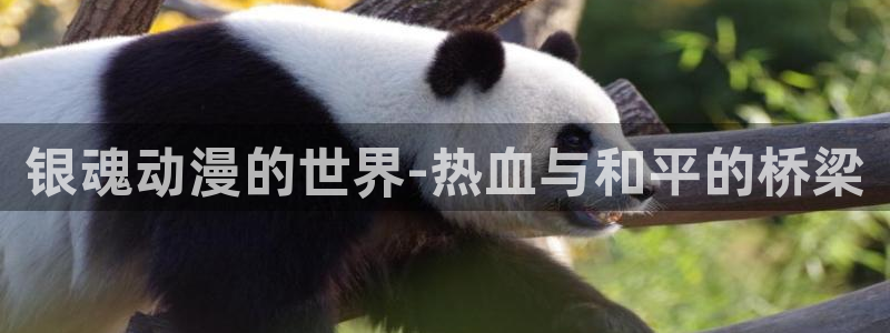 age动漫正版网