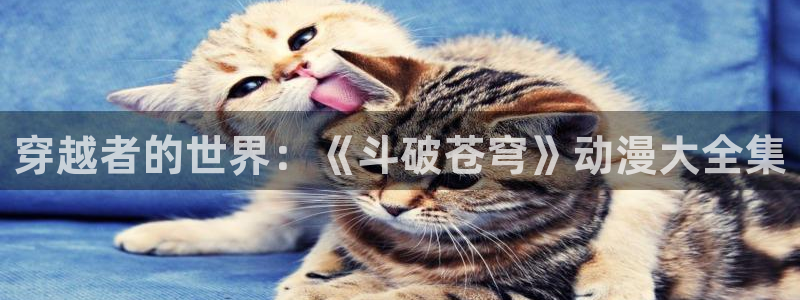 age动漫