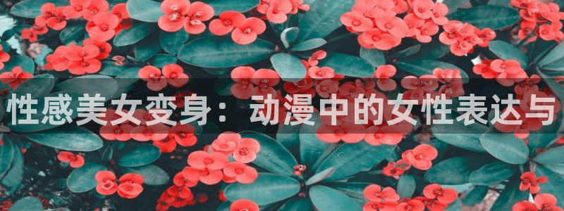 age动漫官网入口老版本