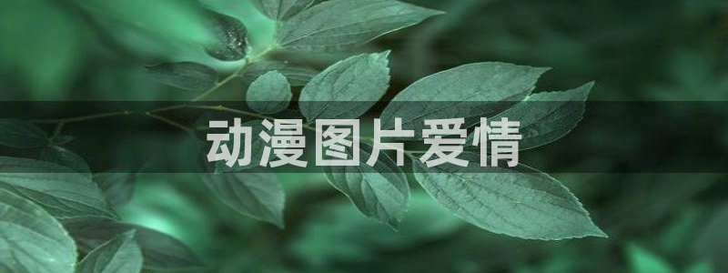 age动漫专注动漫的门户网站