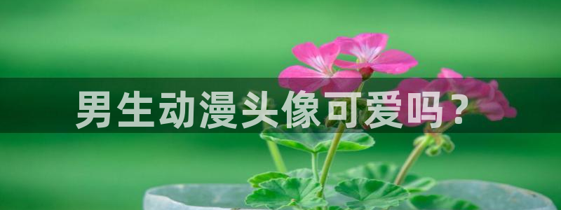 age动漫omofun