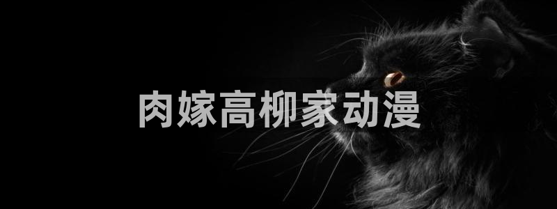 age动漫：肉嫁高柳家动漫