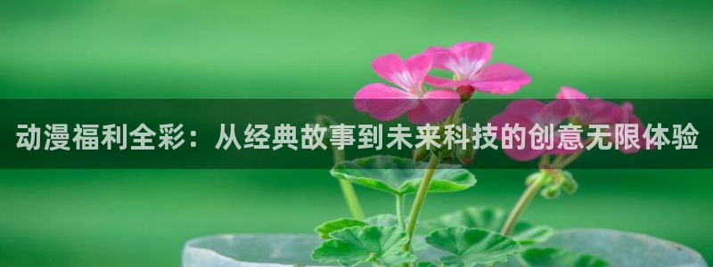 age动漫网下载：动漫福利全彩：从经典故事到未来科技的创意无限体验