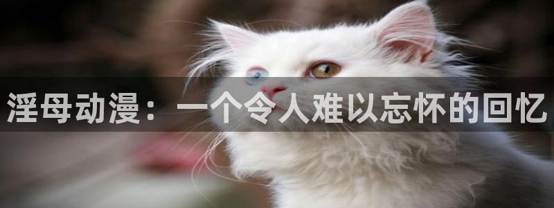 age漫画网