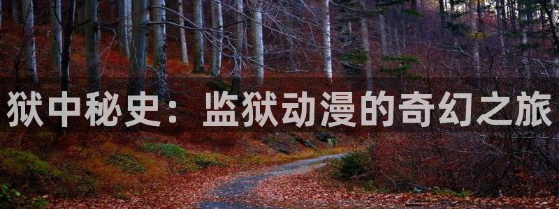 age动漫