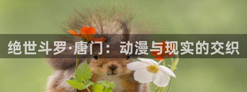 managereader漫画官网入口：绝世斗罗·唐门：动漫与现实的交织